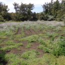 한지 교차로 2 이미지