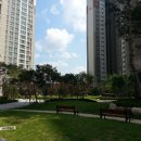 상록데시앙 이미지