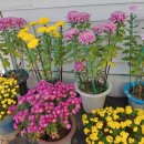 망경어린이집 이미지