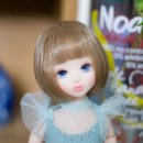 루아(RUAH)