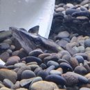 타이어 트랙 이미지