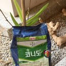 한아름종묘사