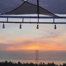 속초비치호스텔 이미지