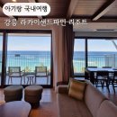 파인리조트 | 아기랑 강릉 대가족 숙소 라카이 샌드파인 리조트 내돈내산 후기 트리오 누오보 룸 야외 수영장