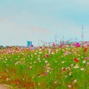 바람에 언덕 이미지