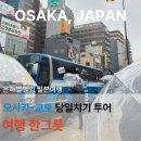 마더하우스민박 | [오사카] 여행한그릇 교토 당일치기 투어 후기/비추인듯 추천/가격/코스/시간