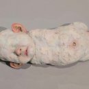 김영성 카카오 검색결과