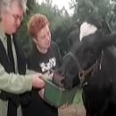 똘이농장 이미지