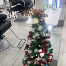 태호 | 발산역 미용실 추천, 라몽드 단발 빈티지펌 태호대표원장 후기