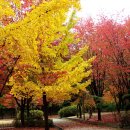 옥빛공원 이미지