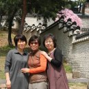 청화대 이미지
