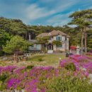 강릉애 진심 이미지