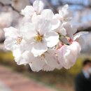 루크공업사 이미지