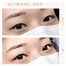 오성로 | 천안 슈가브로우 속눈썹 펌 맛집 비포 에프터로 보는 찐 후기!