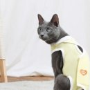 구름동물병원 이미지