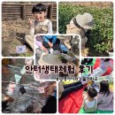 안터 | 아이와 광명 안터생태공원 체험 후기｜로제트식물과 함께 안터의 봄을 느껴요