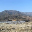 평창 금당산(錦塘山;1,173.2m)-거문산(巨文山;1,175m) 산행기 이미지