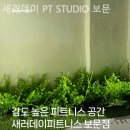 새러데이 PT STUDIO | 보문동헬스장 새러데이 PT STUDIO 보문 살빠지는곳