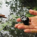 정대농장 이미지