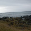 하모리-4 이미지