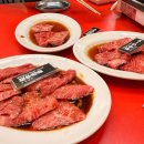 6451 | 오사카 우메다 현지 직장인 맛집 야키니쿠 전당 키요미즈홀 내돈내산 솔직후기