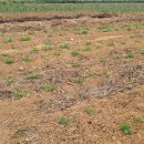 장유농장 이미지