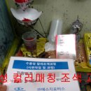 에스지모터스 이미지