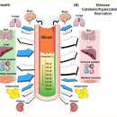 Re:Glutamine: Metabolism and Immune Function, Supplementation and Clinical Translation - 2018년 review논문 이미지
