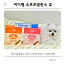 28솔루션덴탈랩 | 양치 싫어하는 강아지 추천 씨디랩 소프트발란스 츄 강아지 구강관리 후기