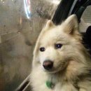 삼천 1 삼일노인회 | [일상] 10월은 하루에 네 계절이 있다.