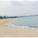 시인의마음 이미지