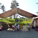 세종공원 이미지