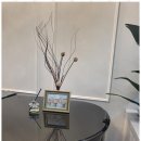 피아노이야기음악학원 이미지