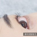 나츠래쉬 이미지