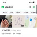 네일서아르