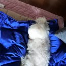 휴앤조 | 미니 라디에이터 휴앤봇 5핀 HNB-05T 욕실 난방기 사용후기