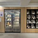 솔리,자운 이미지