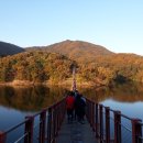 산들애 보리밥 이미지