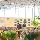 성마을농장 이미지