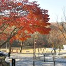 치유요가명상