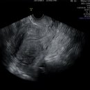 강영미산부인과의원 이미지