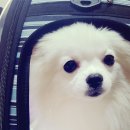 무창포 히든빌리지 이미지