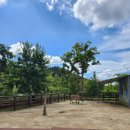 푸른도시가꾸기사업소 화장실 이미지