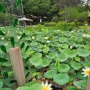 토담식당 이미지