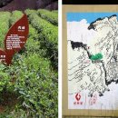 황후공차