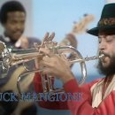 Chuck Mangione - Feels So Good (Nana's Journey Into Song, March 8th, 1979) 이미지