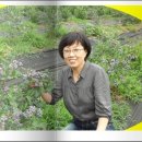 아진목장 이미지