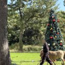 상진목장 이미지