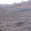 오현2리 이미지