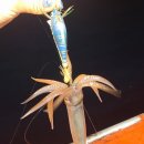 한치로2 이미지